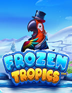 เปิดประสบการณ์สล็อต joker123 แตกง่าย พร้อมข้อมูลเชิงลึก